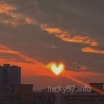 Avatar of Saad Qamar