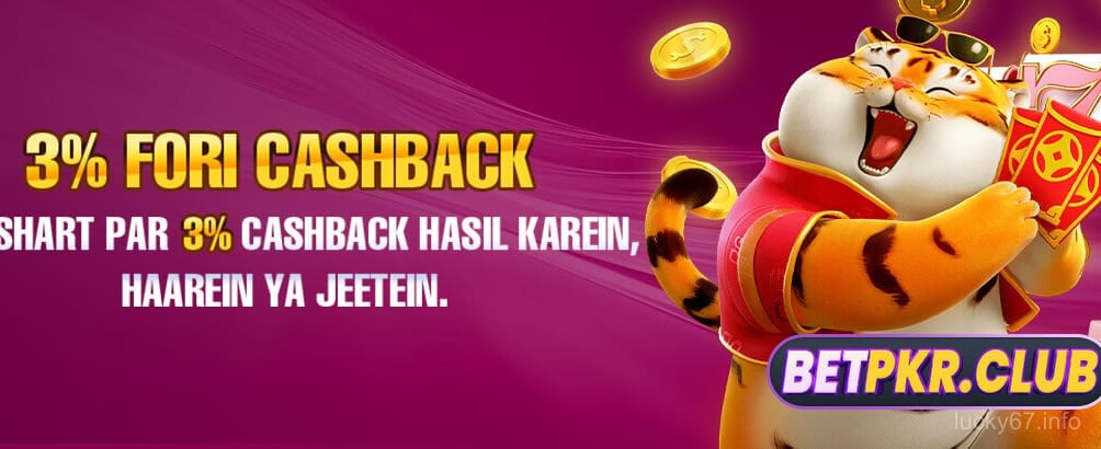 lucky67 Secure Gaming Experience